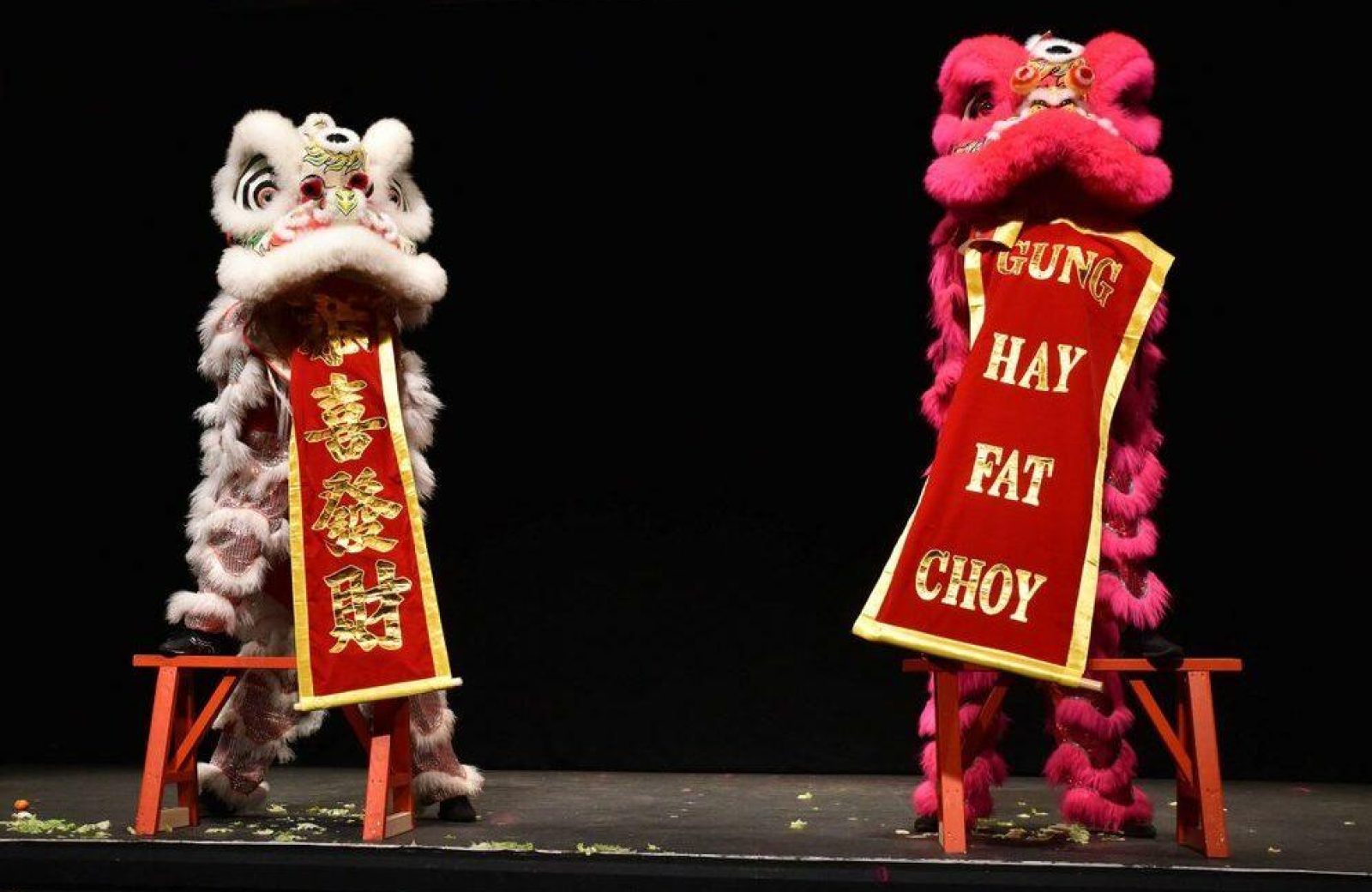Chinese New Year Gala Show