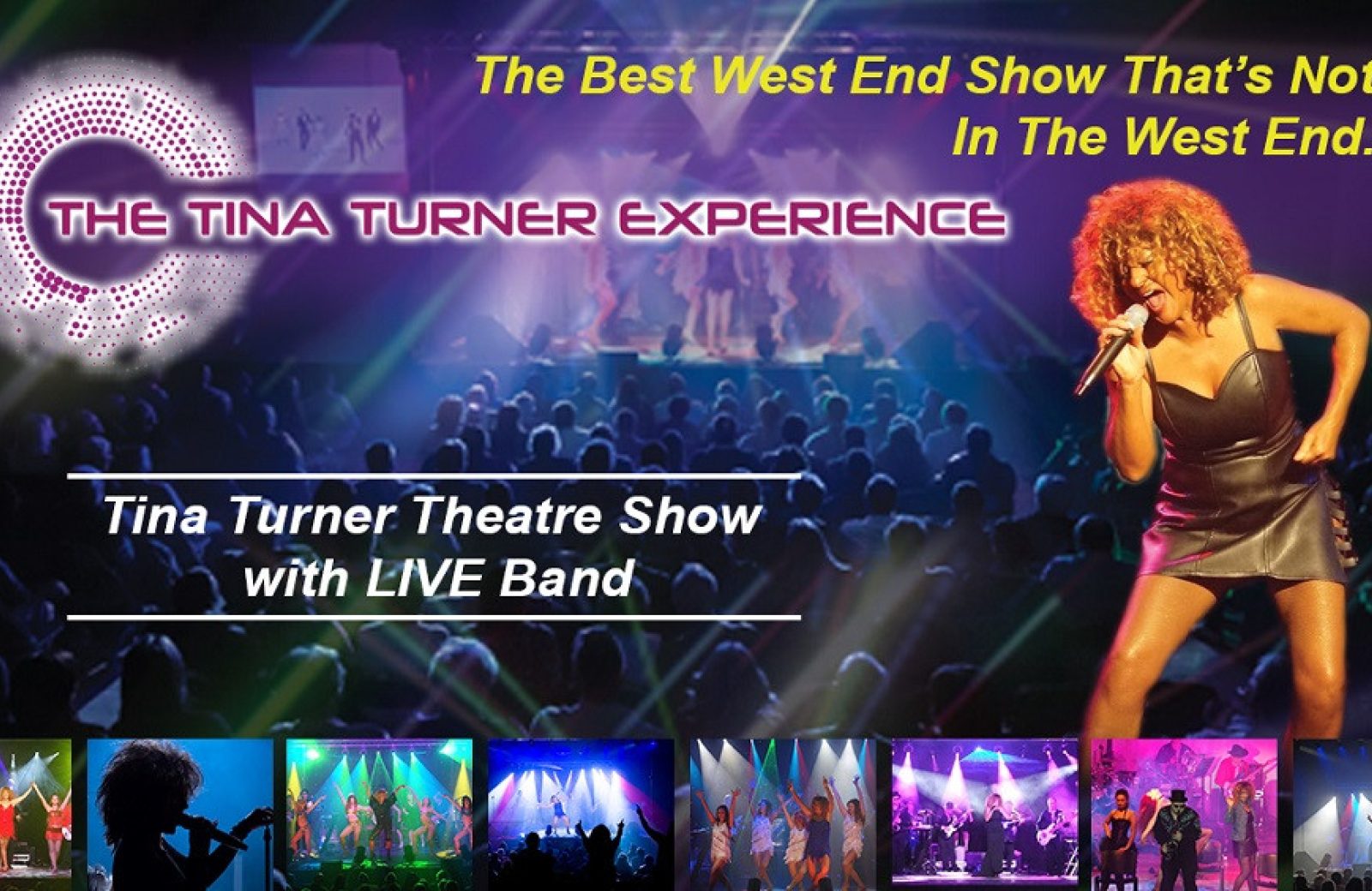 The Tina Turner Experience
