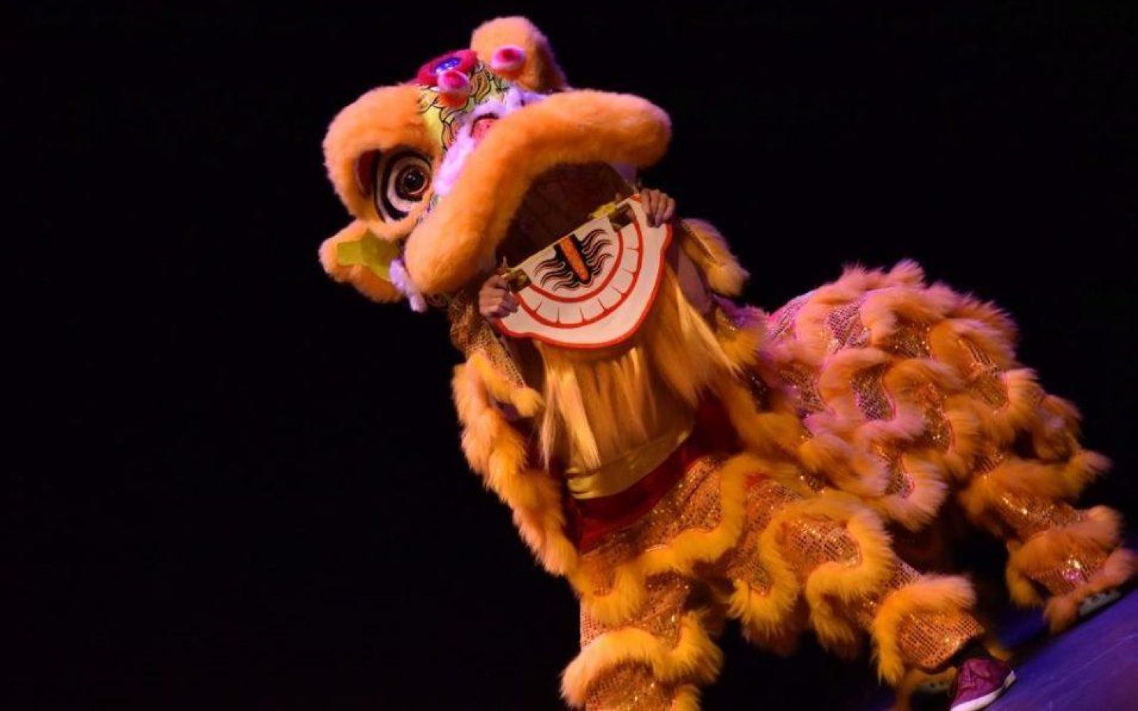 Spring Festival Gala Show