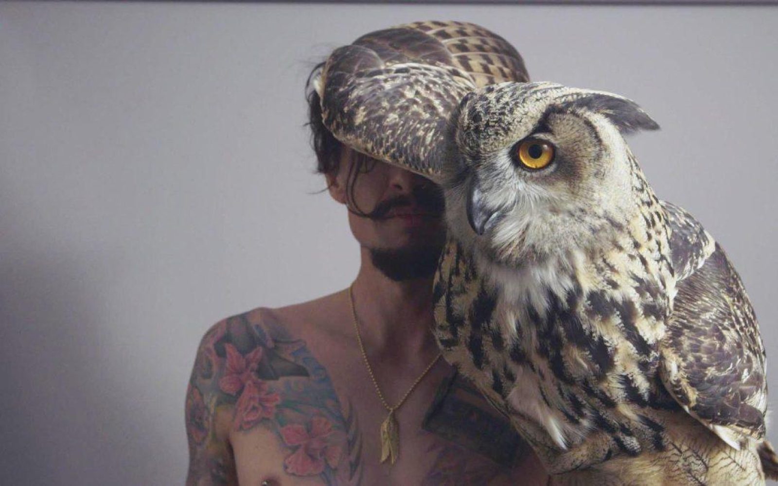 Justin Hawkins Rides Again