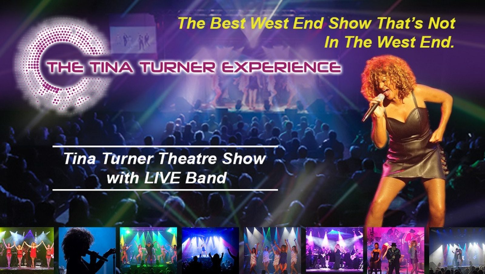 The Tina Turner Experience